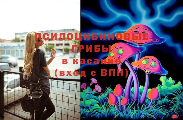 спайс Заводоуковск