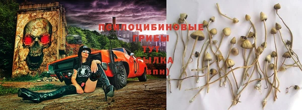 мяу мяу мука Заволжск