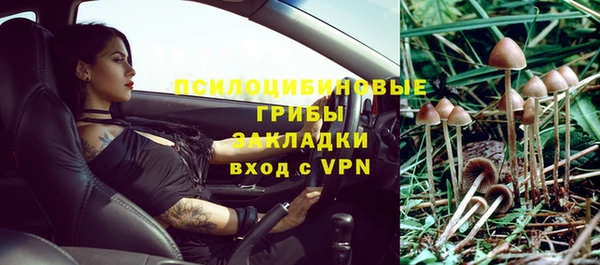 мяу мяу мука Заволжск