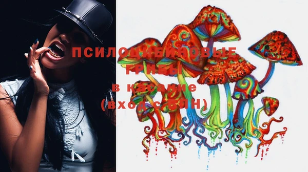 mdpv Заволжье