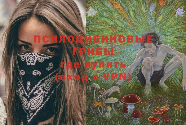 спайс Заводоуковск