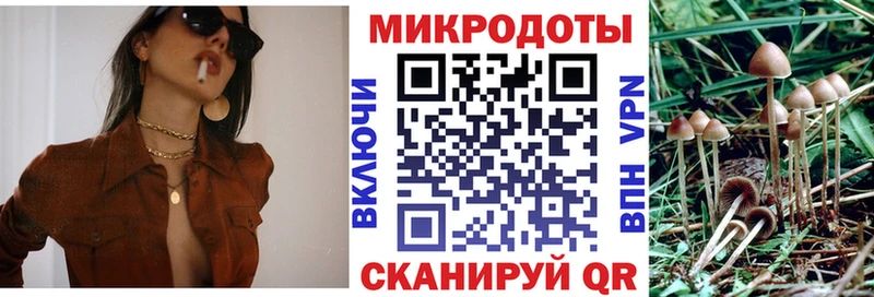 Галлюциногенные грибы GOLDEN TEACHER  Нижний Новгород 